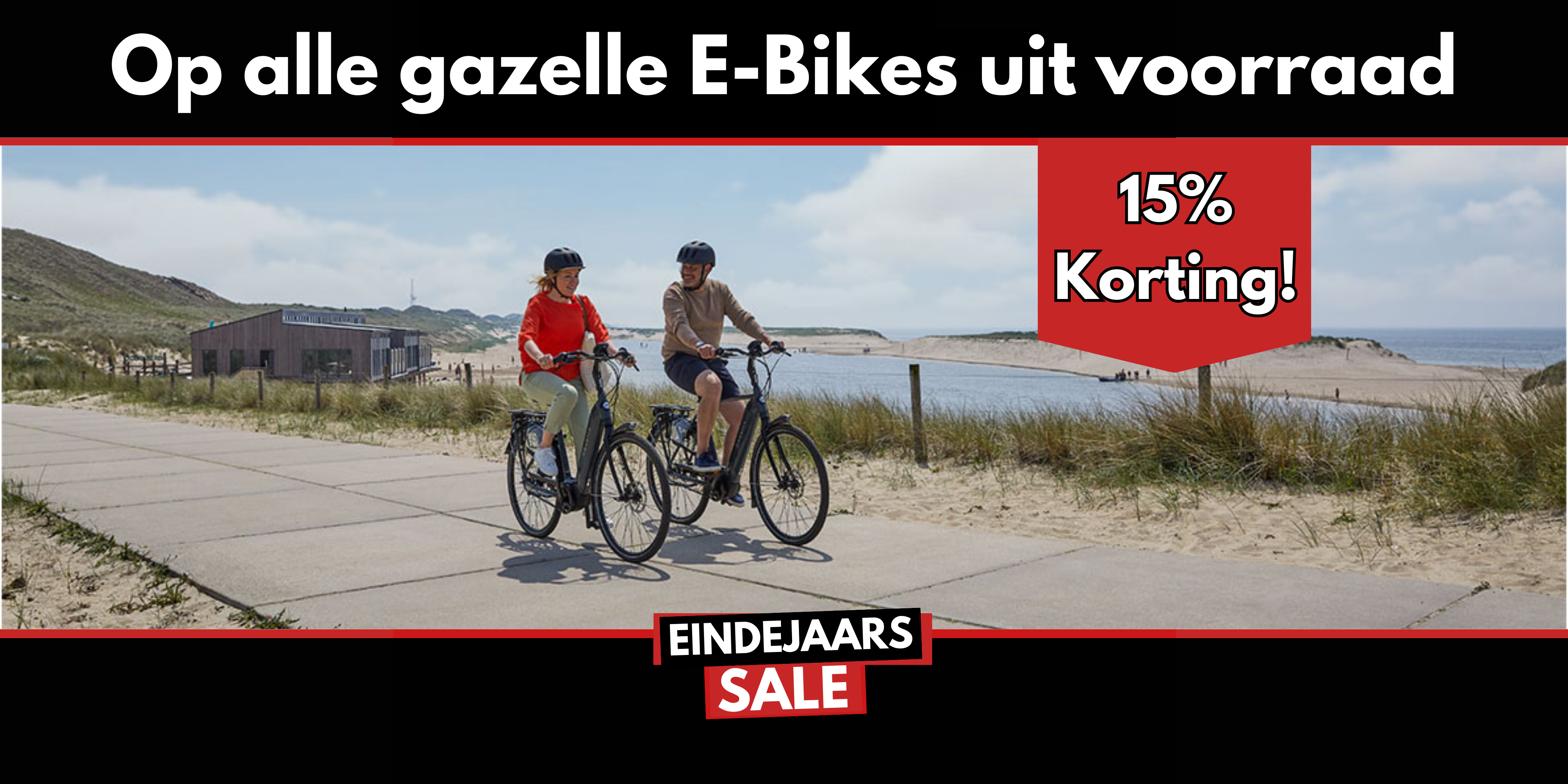 Gazelle E-bikes Aanbieding Scholten Fietsgoed Zwolle