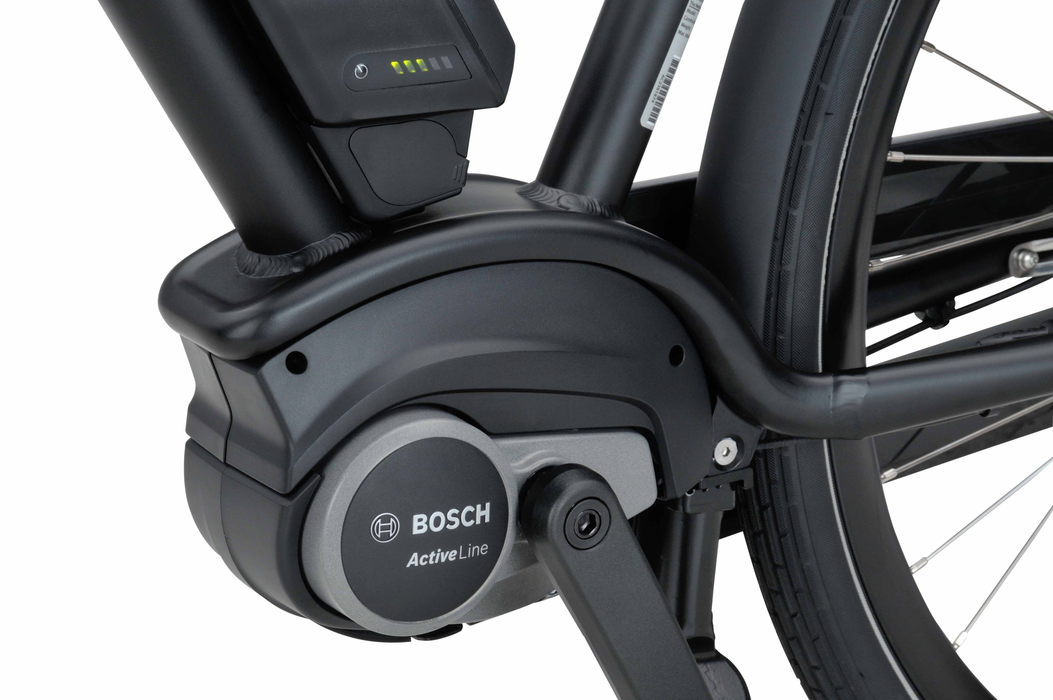 BATAVUS QUIP EXTRA CARGO EGO