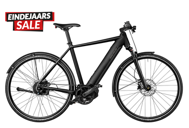 RIESE & MULLER ROADSTER4 VARIO |...