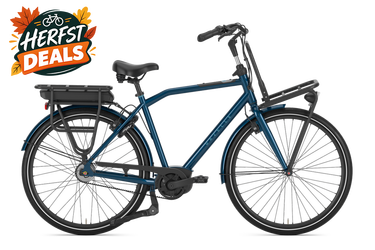 GAZELLE HEAVYDUTYNL C5 | Herfstdeal