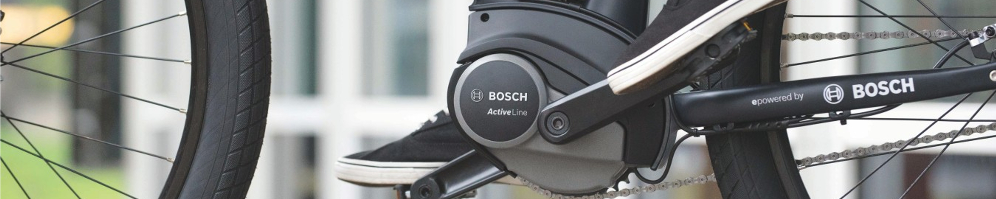 Bosch E Bike Systeem